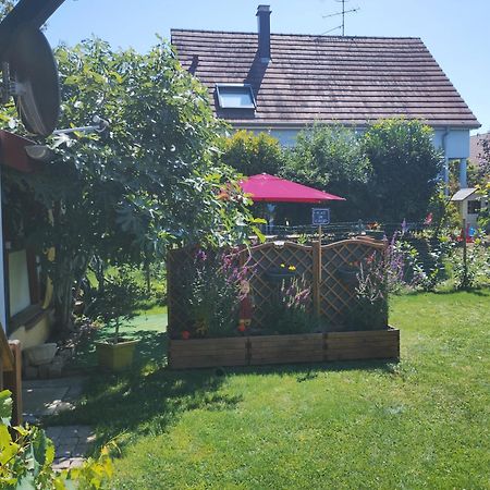 Gite Alsace Appenwihr Экстерьер фото