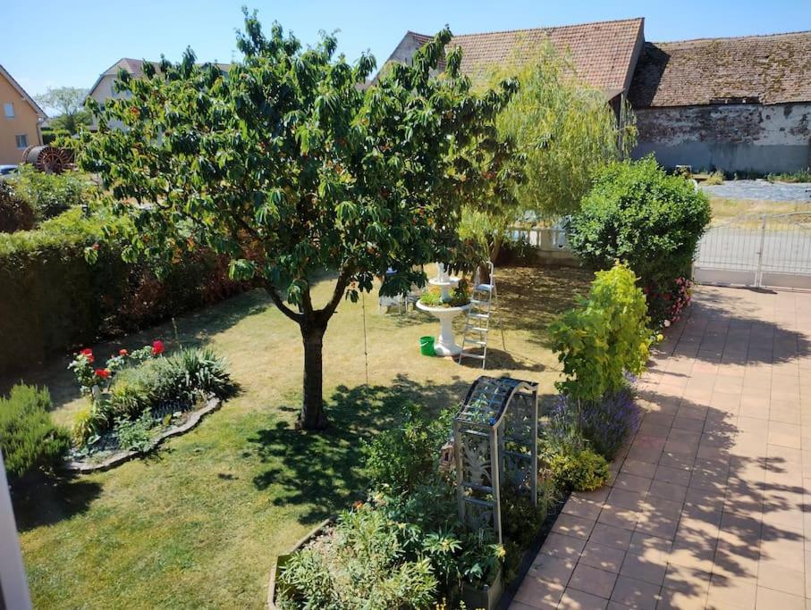 Gite Alsace Appenwihr Экстерьер фото