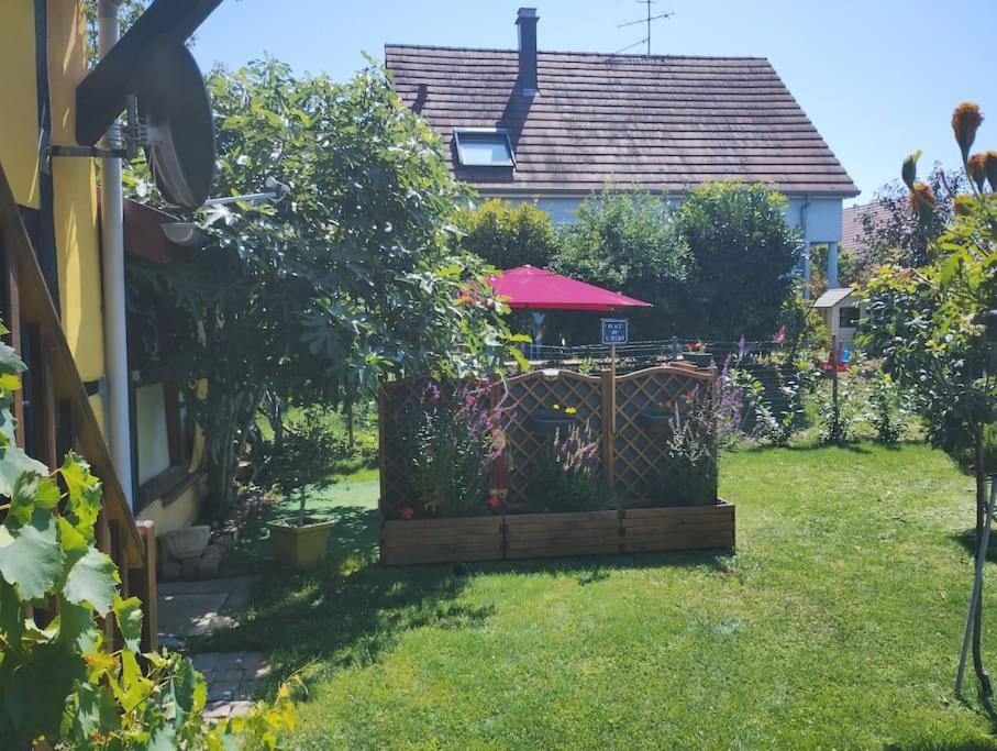 Gite Alsace Appenwihr Экстерьер фото